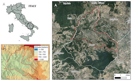 Ijgi 11 00179 g001 550