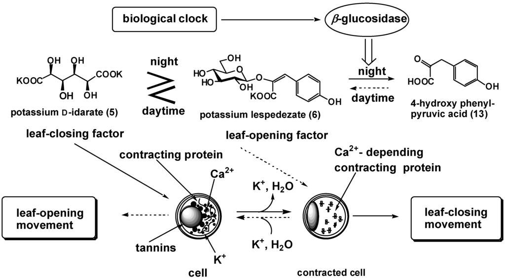 Ijms 02 00156 g002 1024