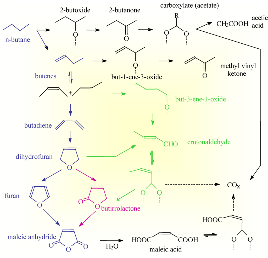 Ijms 02 00183 g007 1024