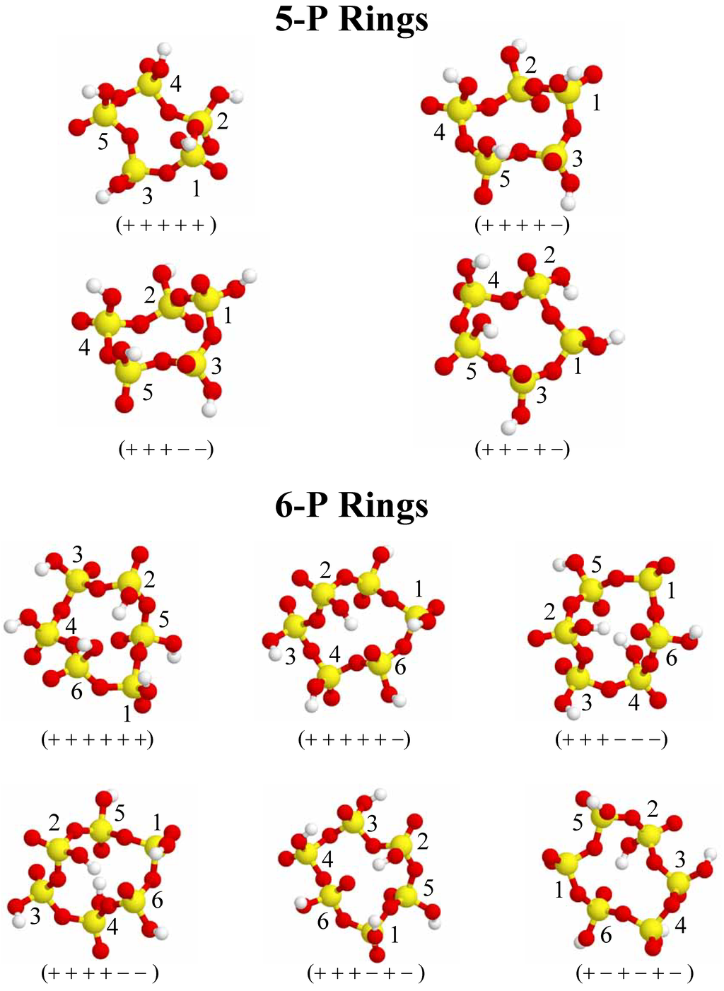 Ijms 03 00888 g003 1024