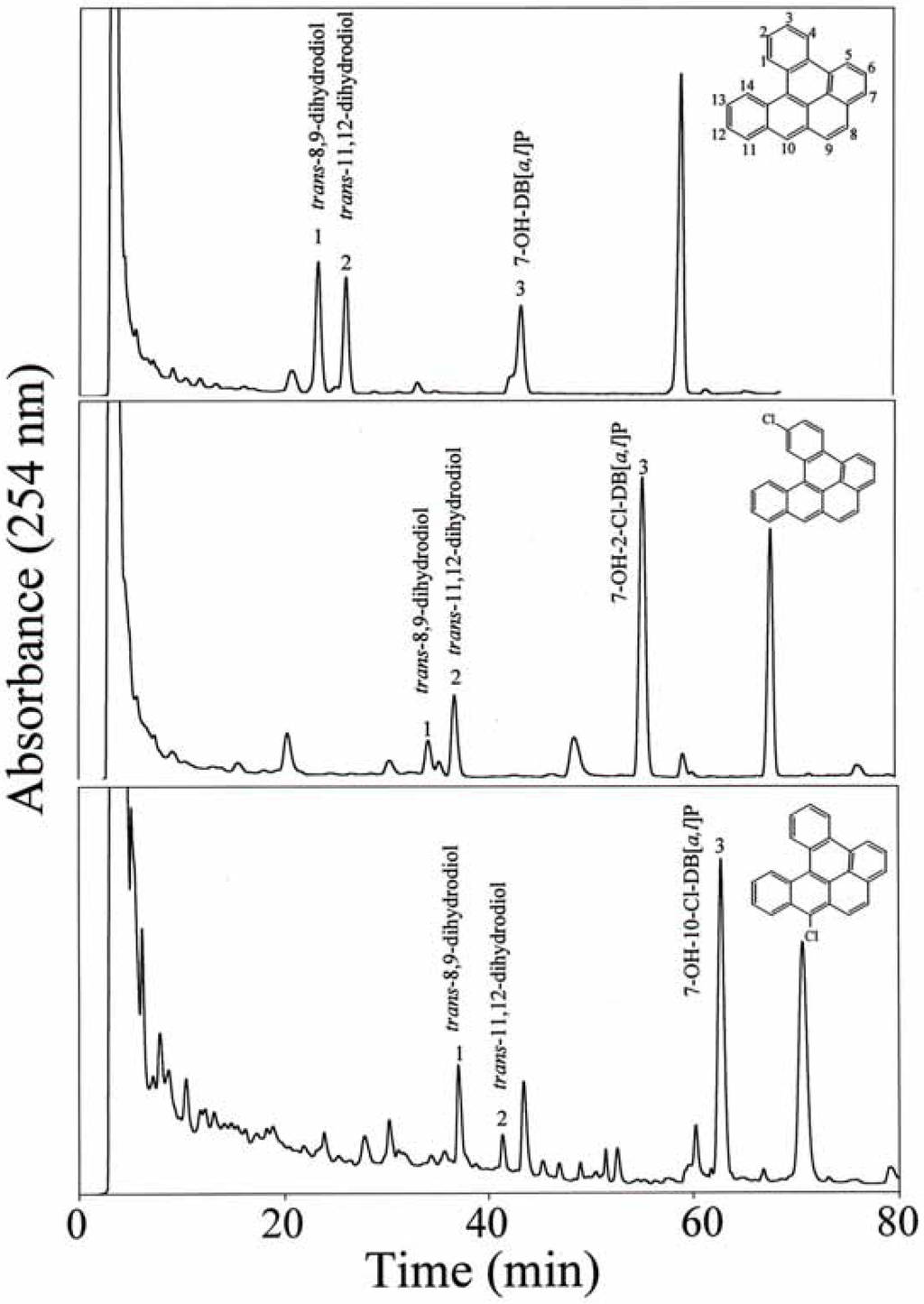 Ijms 03 01008 g001 1024