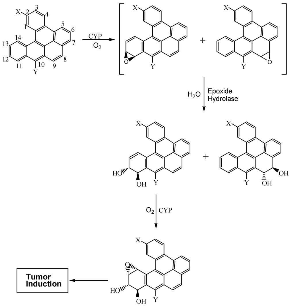 Ijms 03 01008 g004 1024