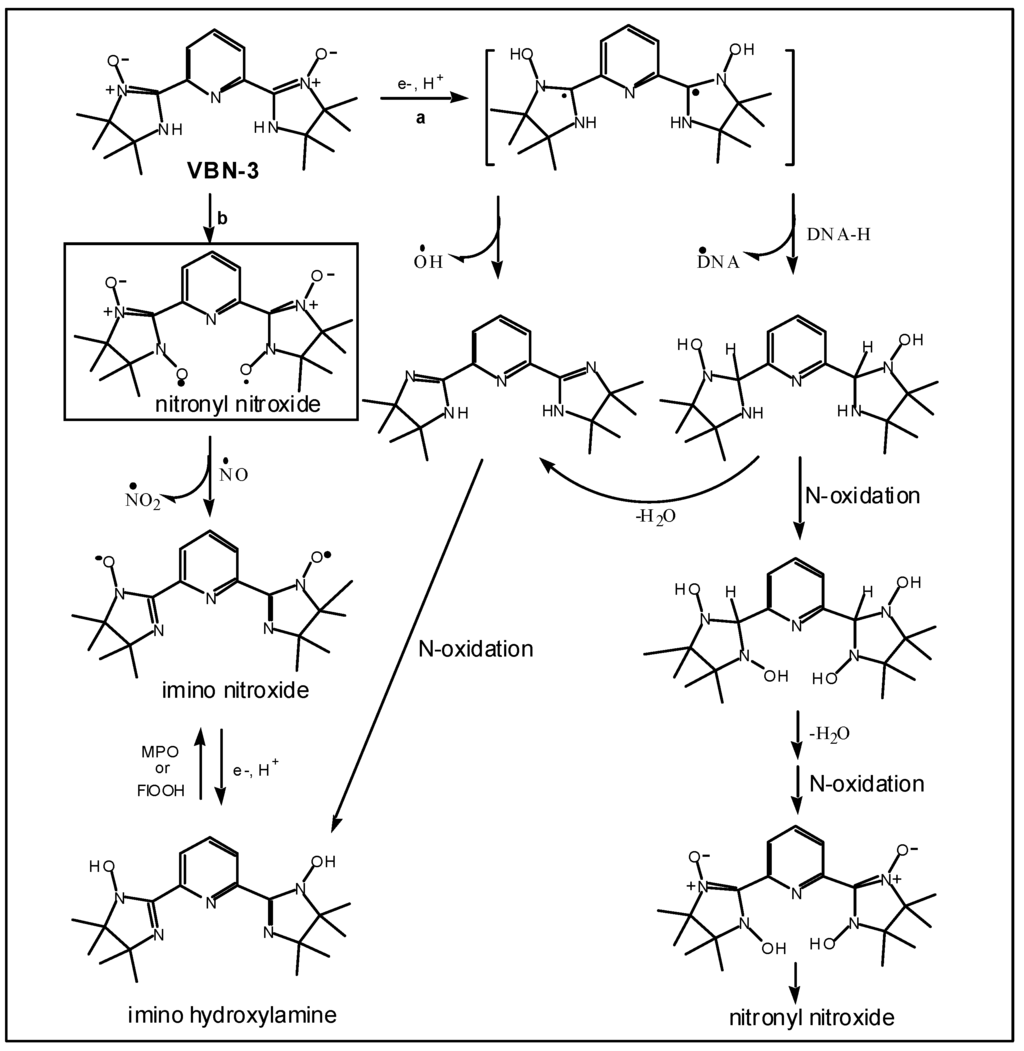 Ijms 03 01145 g012 1024