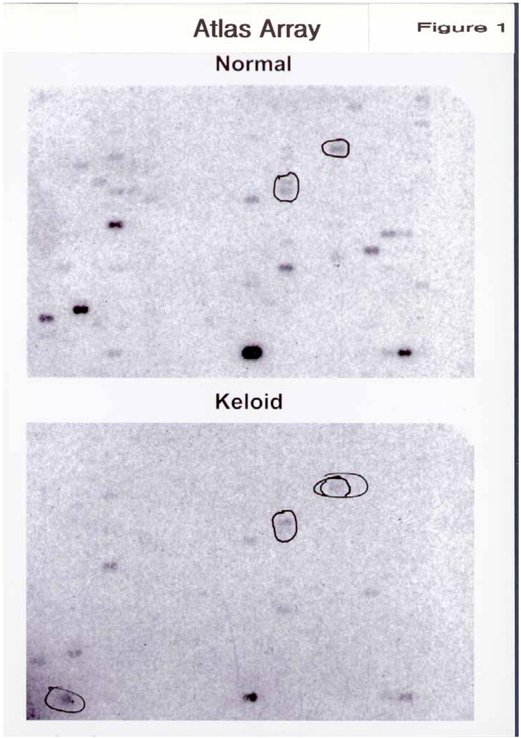 Ijms 03 01162 g001 1024