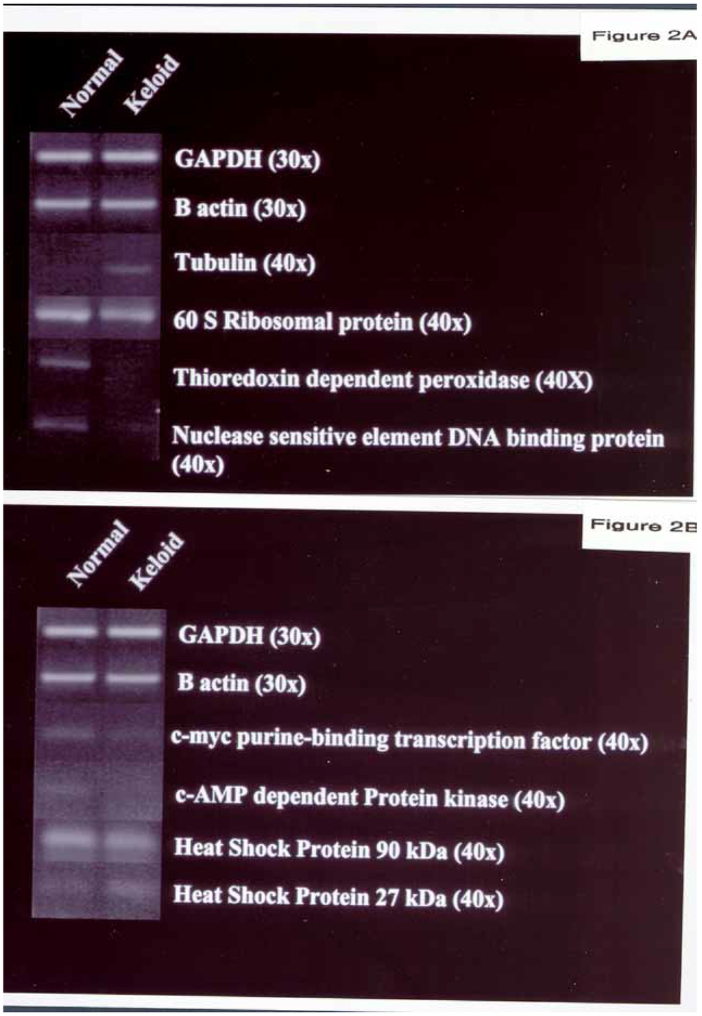 Ijms 03 01162 g002 1024