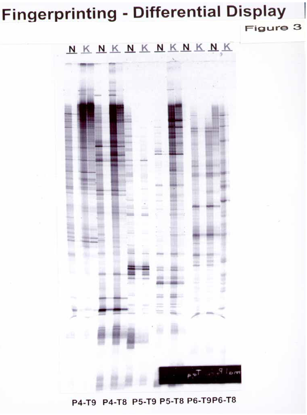 Ijms 03 01162 g003 1024