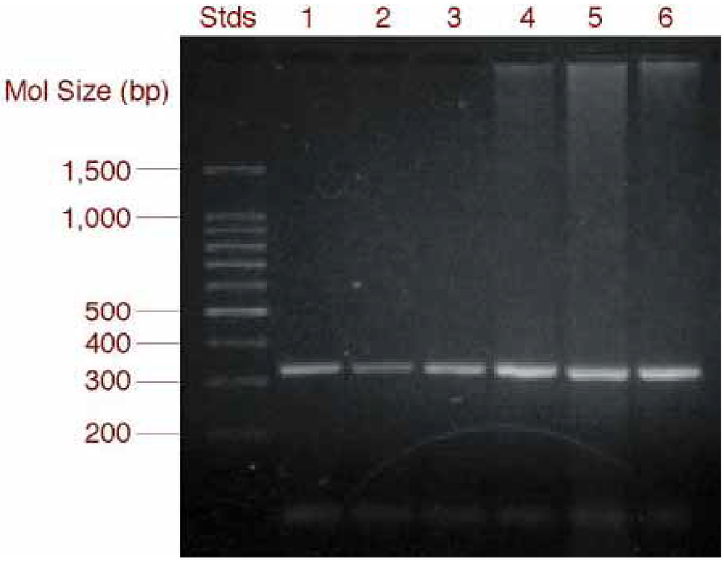 Ijms 03 01177 g001 1024