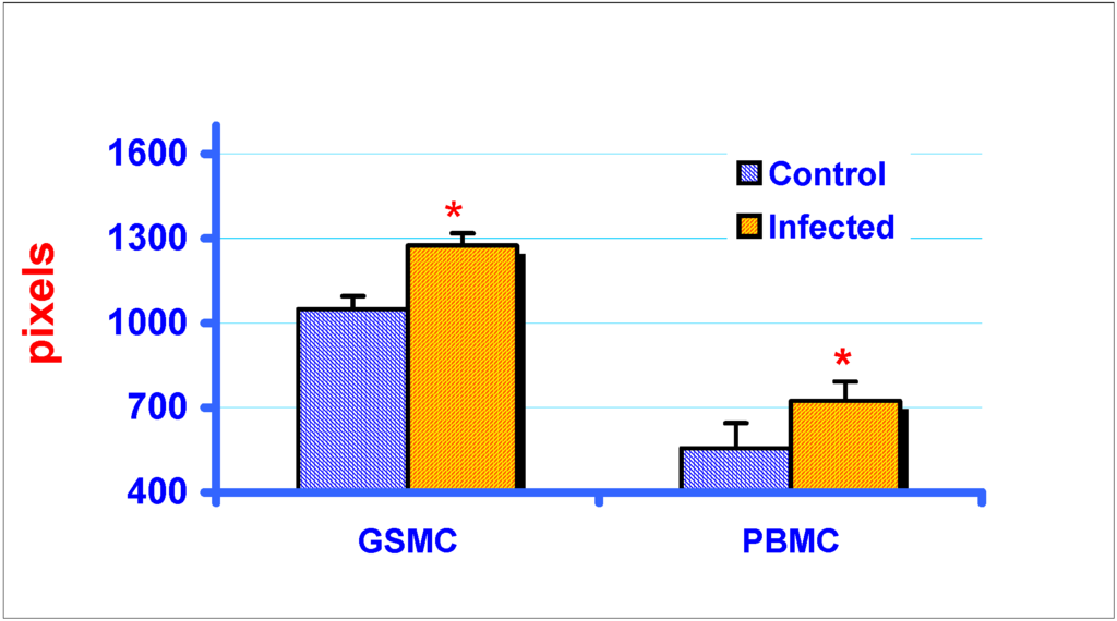 Ijms 03 01177 g003 1024