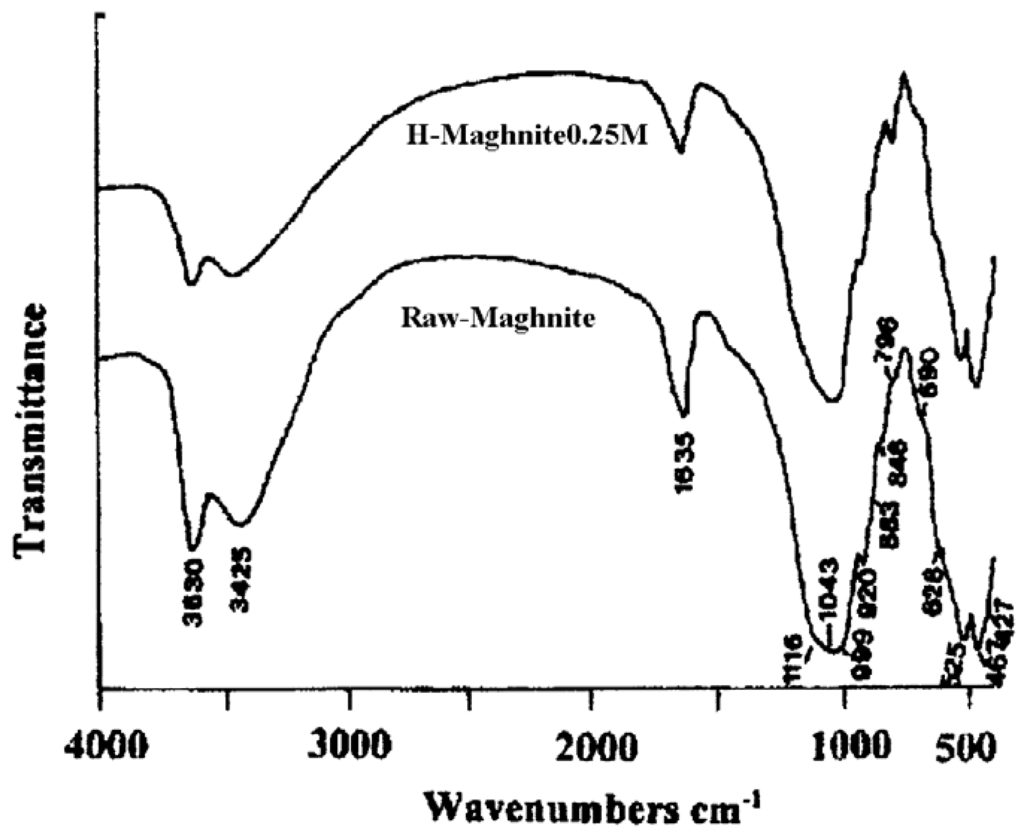 Ijms 04 00572 g002 1024