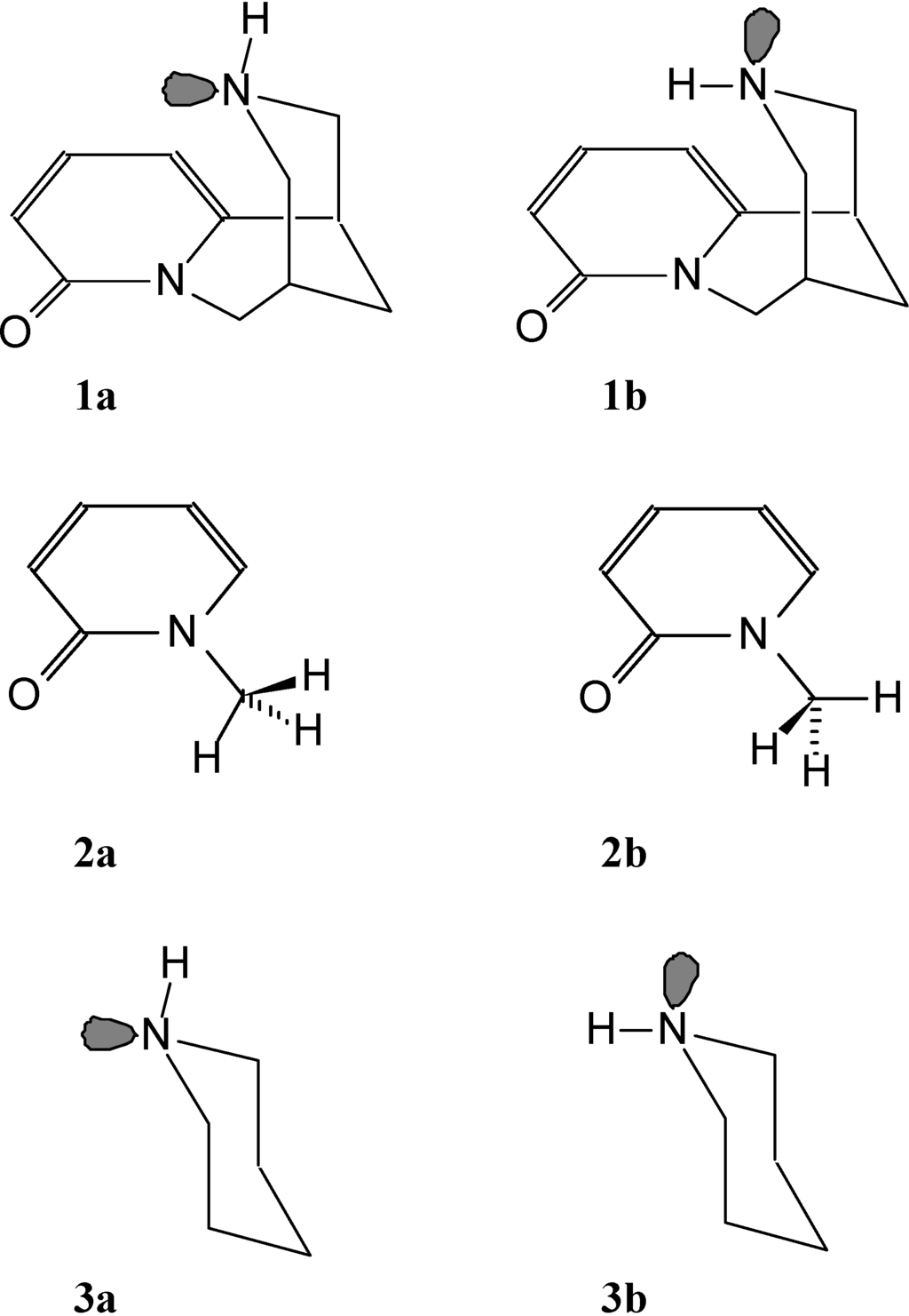 Ijms 06 00143 g001 1024