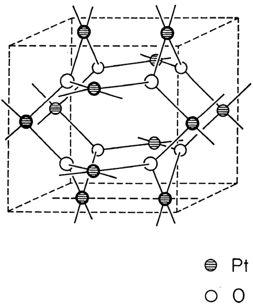 Ijms 06 00177 g001 1024