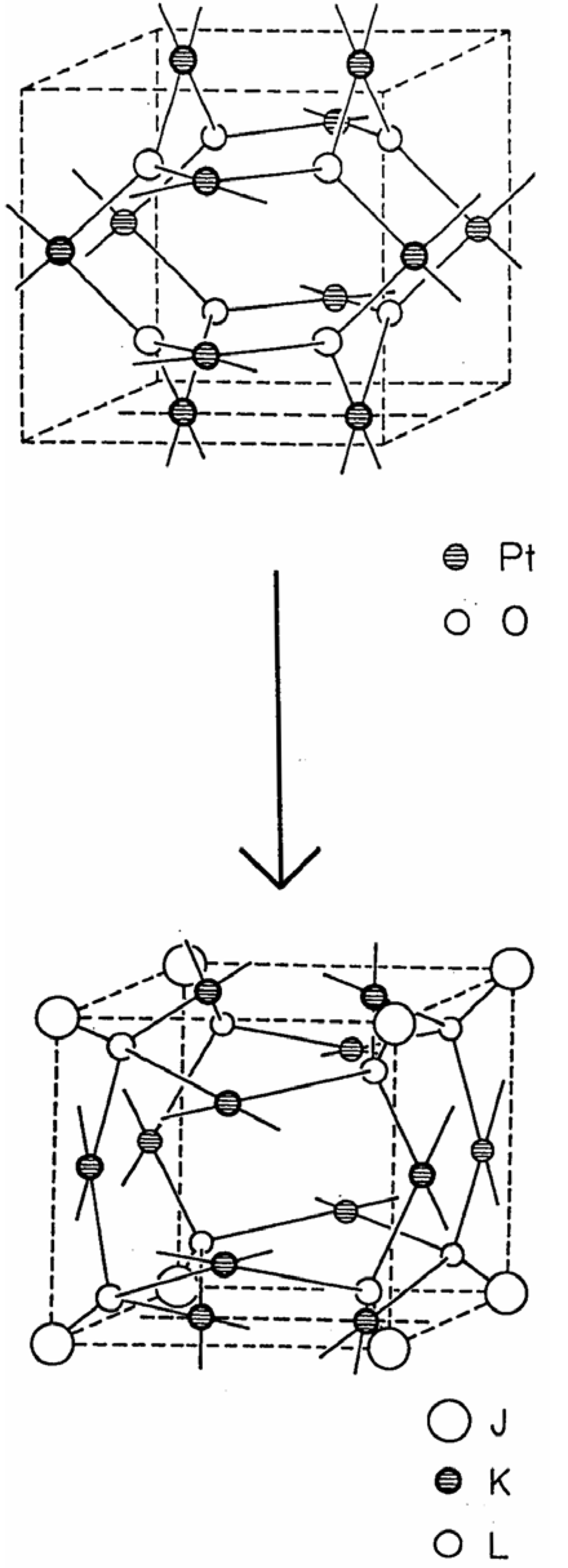 Ijms 06 00177 g004 1024