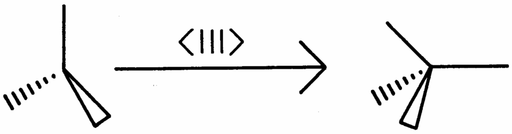 Ijms 06 00177 g005 1024