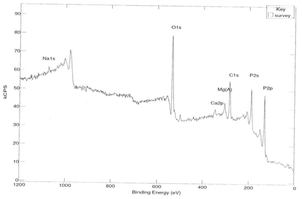 Ijms 06 00198 g002 1024