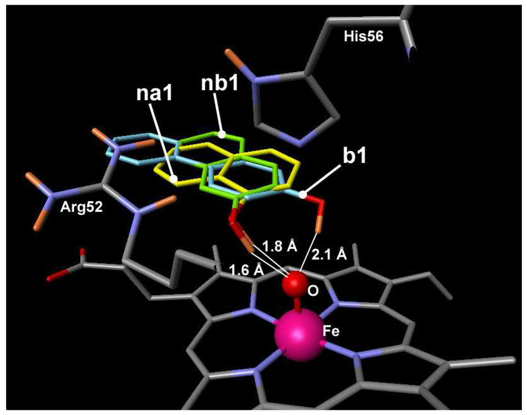 Ijms 06 00245 g002 1024