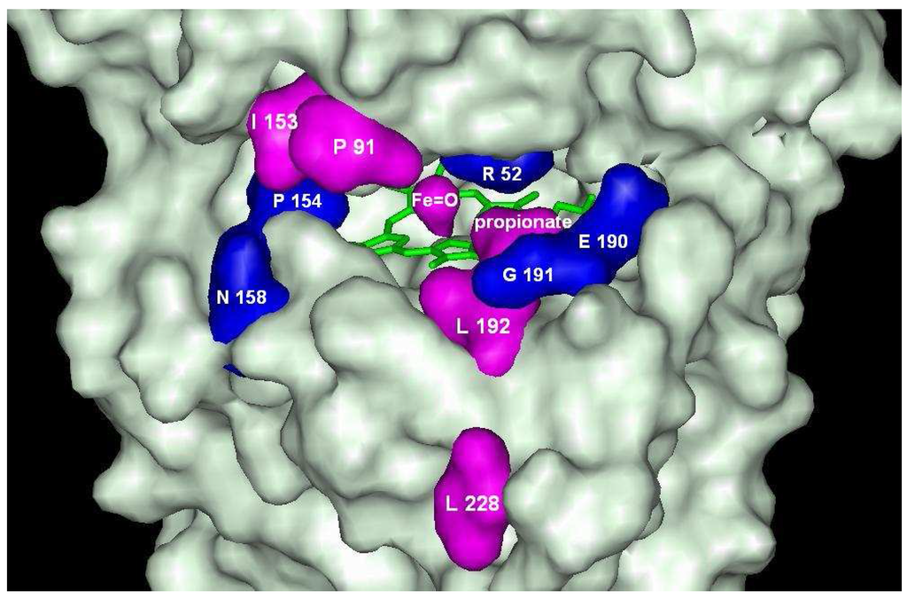 Ijms 06 00245 g003 1024