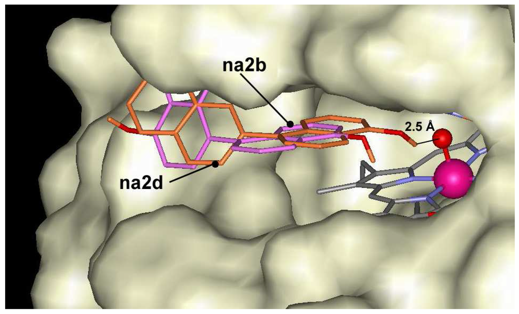 Ijms 06 00245 g004 1024