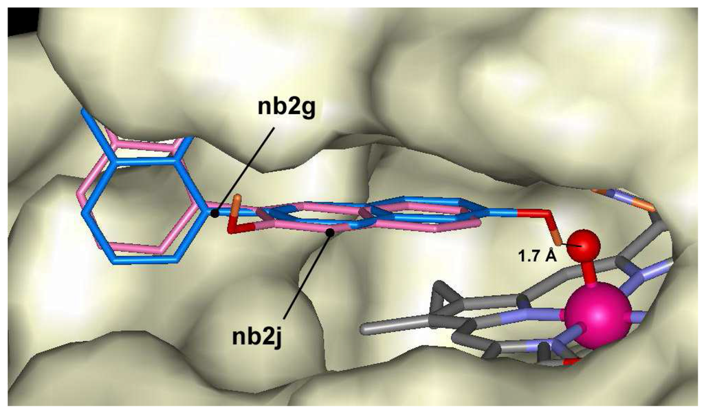 Ijms 06 00245 g005 1024