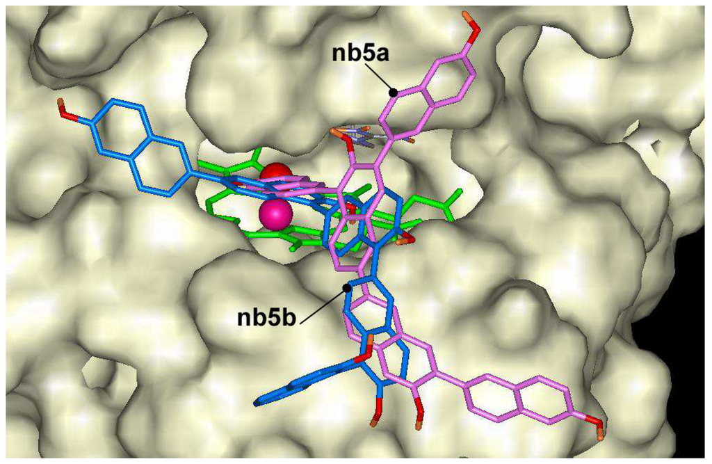 Ijms 06 00245 g006 1024