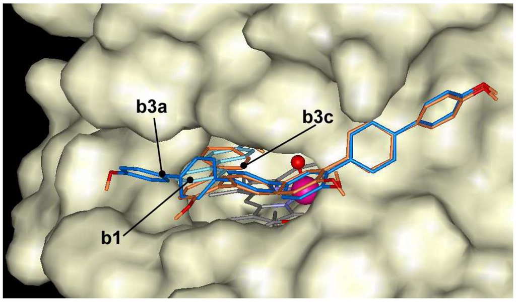 Ijms 06 00245 g007 1024