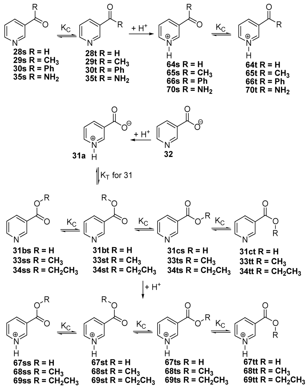 Ijms 06 00257 g004 1024