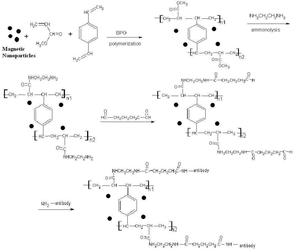 Ijms 07 00274 g001 1024