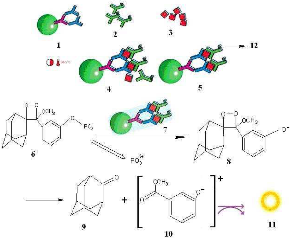 Ijms 07 00274 g004 1024