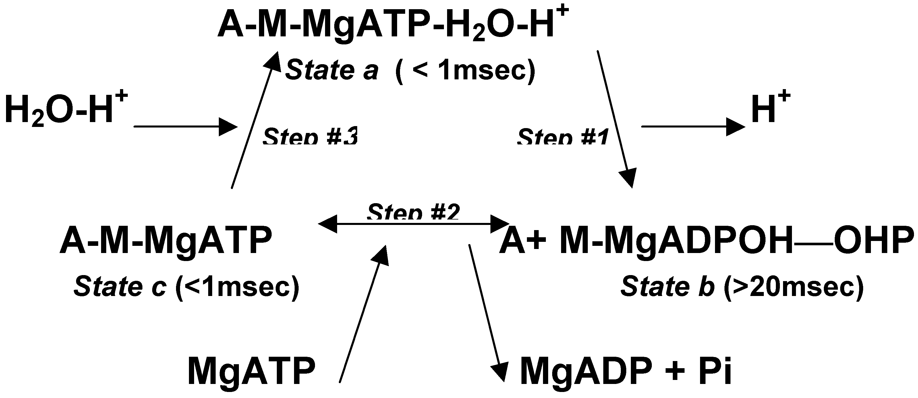 Ijms 07 00320 sch002