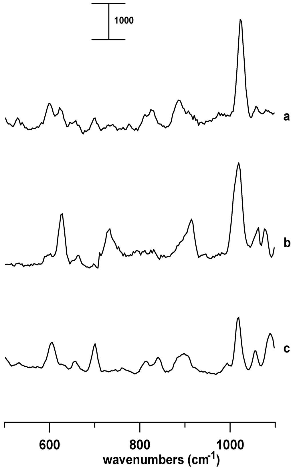 Ijms 07 00417 g002 1024