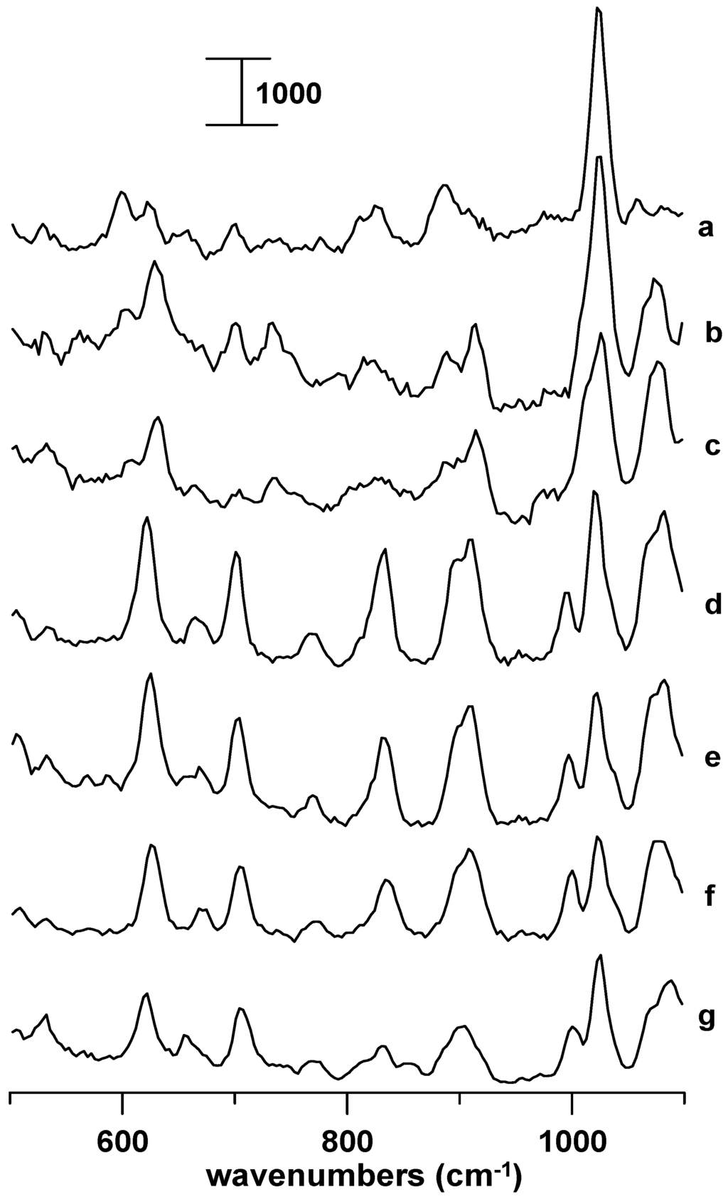 Ijms 07 00417 g003 1024