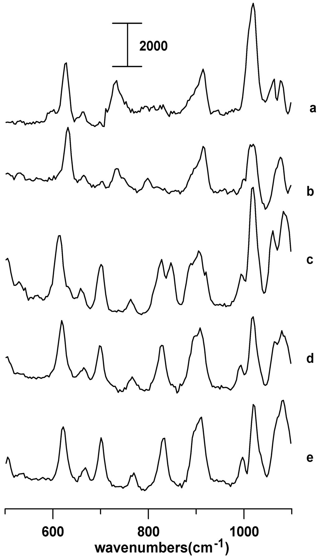 Ijms 07 00417 g004 1024