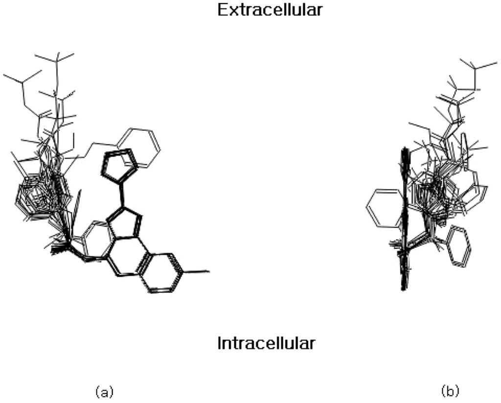 Ijms 07 00485 g001 1024