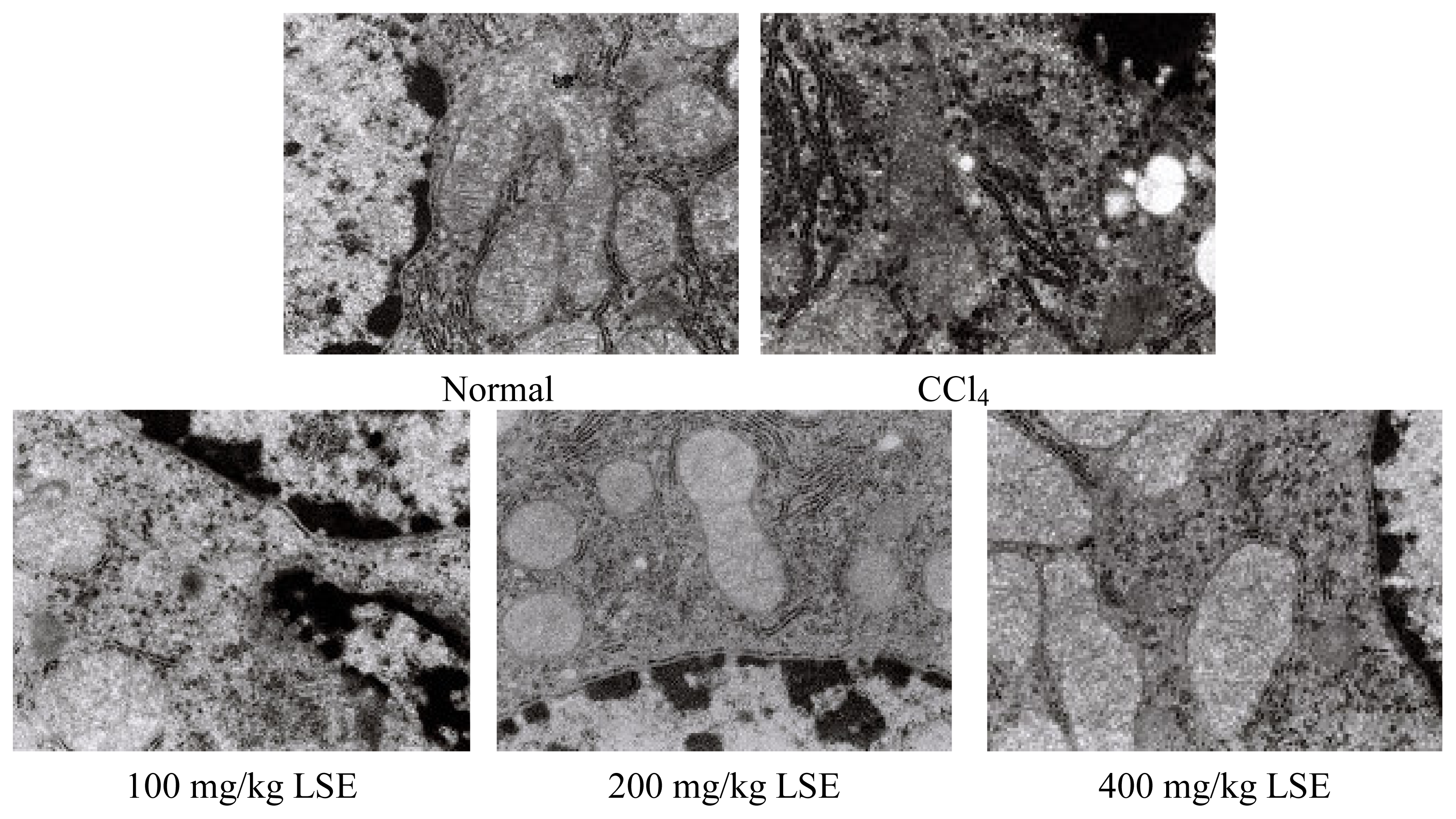 Ijms 08 00204f2