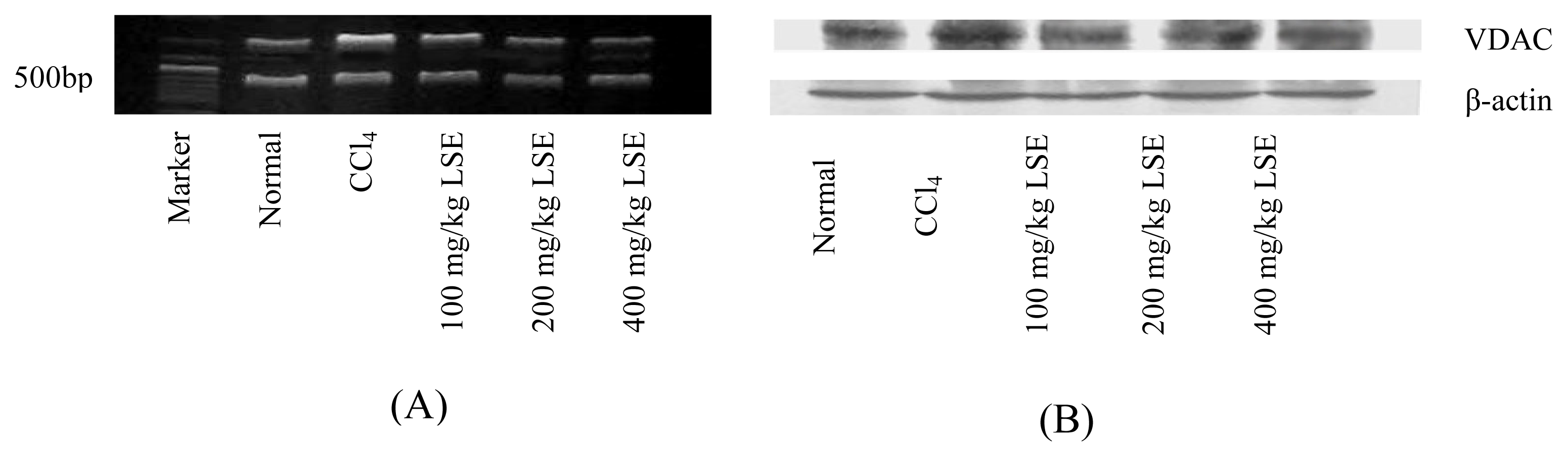 Ijms 08 00204f4