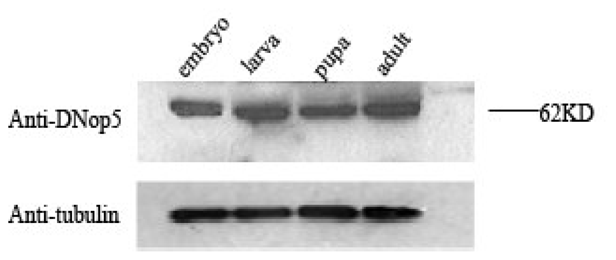 Ijms 08 00399f1