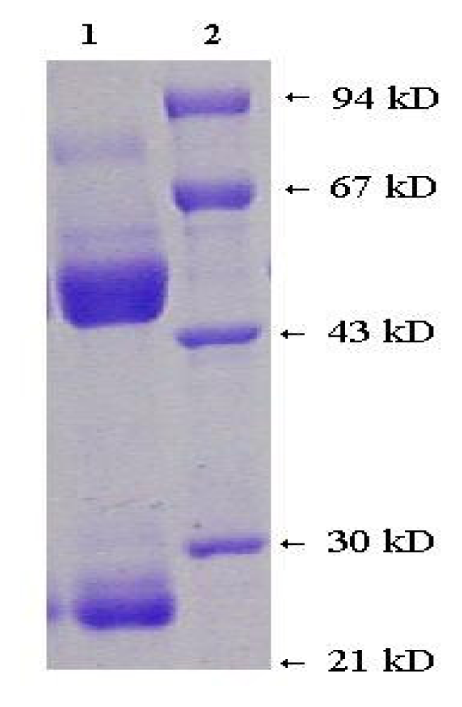 Ijms 08 00445f3
