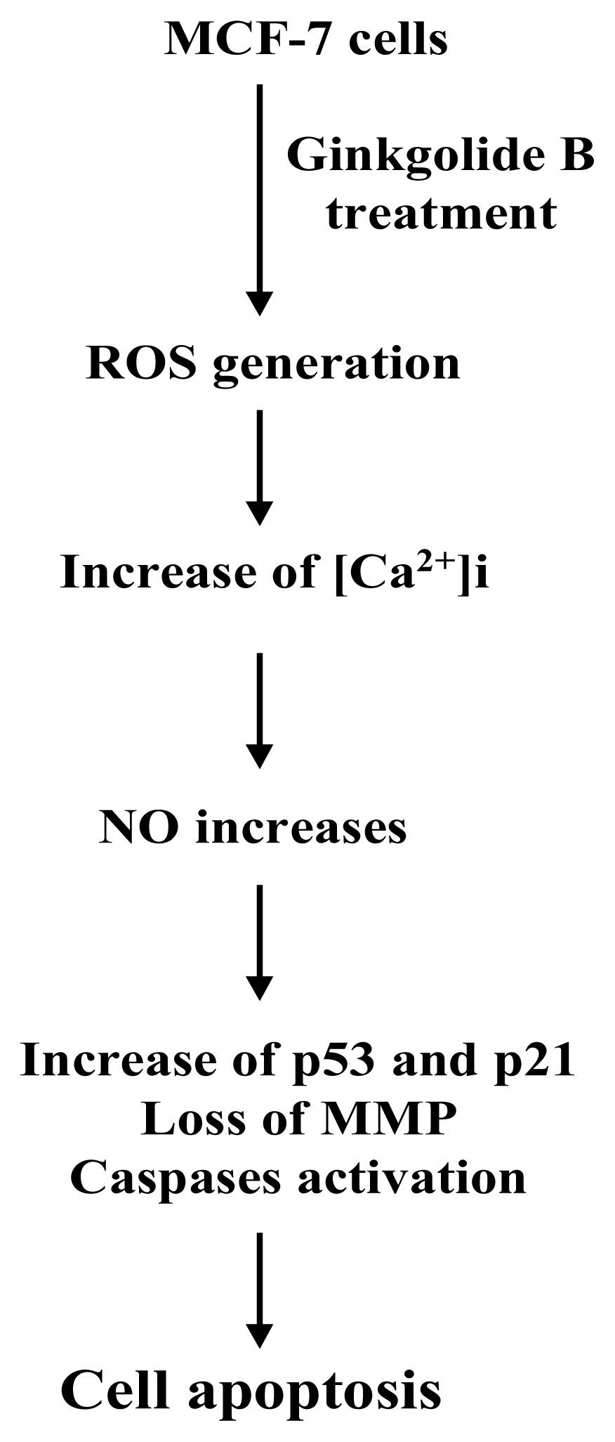 Ijms 08 01177f8