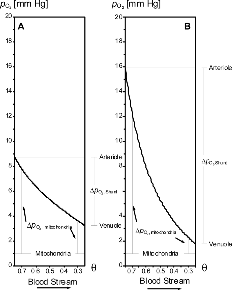Ijms 09 01472f3 1024