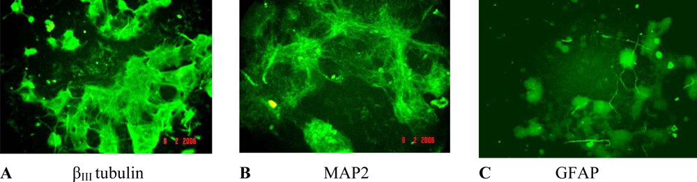 Ijms 10 00037f1