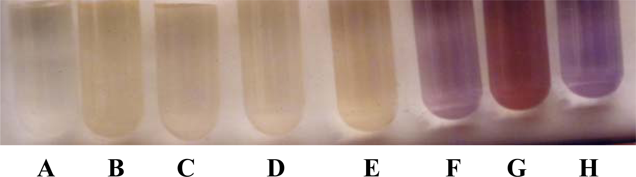 Ijms 10 00345f3