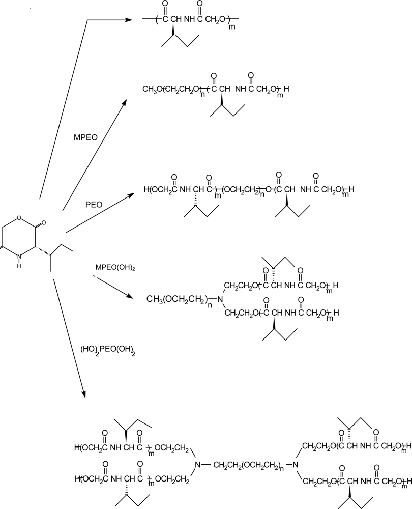 Ijms 10 00589f12