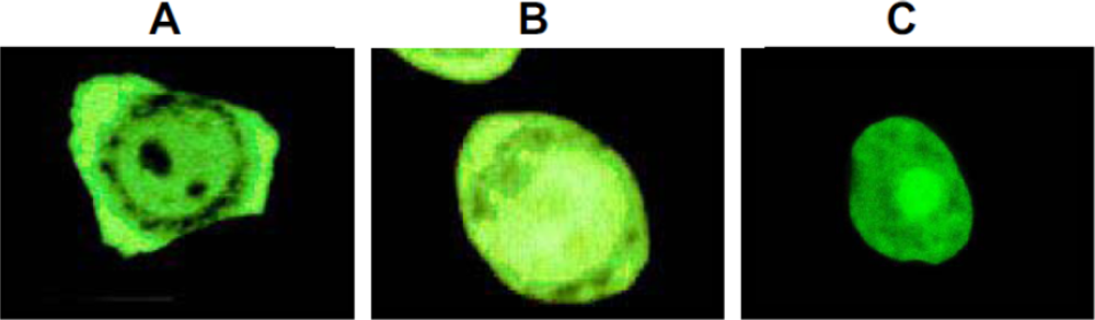 Ijms 10 00906f2