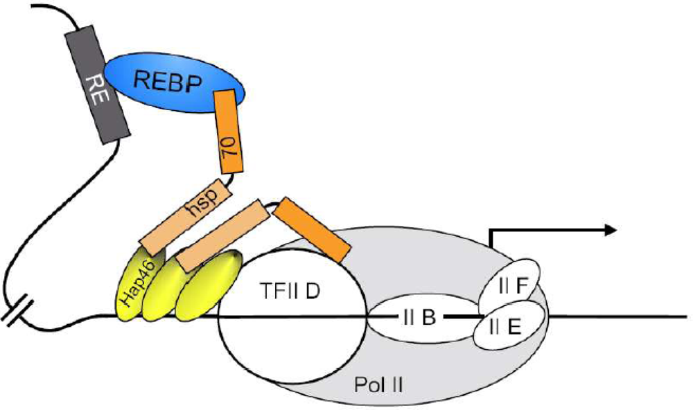 Ijms 10 00906f6