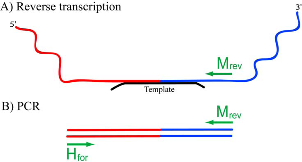 Ijms 10 01788f3