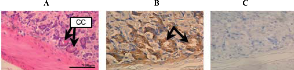 Ijms 10 01999f6