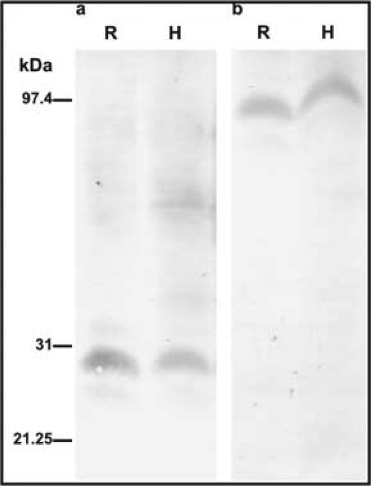 Ijms 10 02896f2
