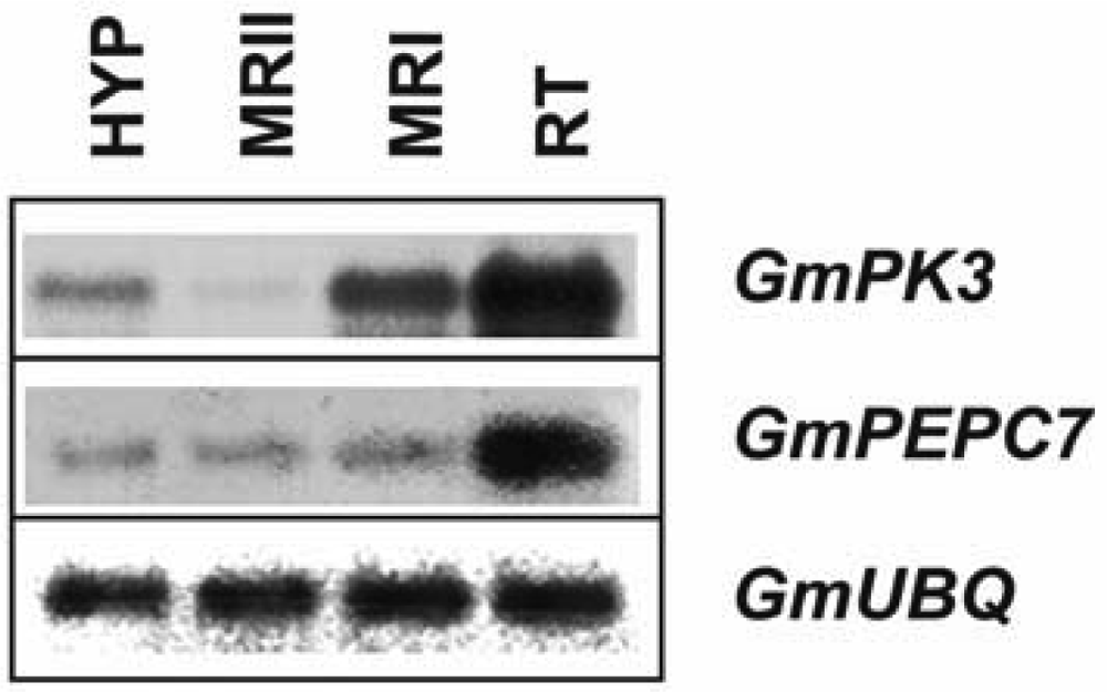 Ijms 10 02896f3