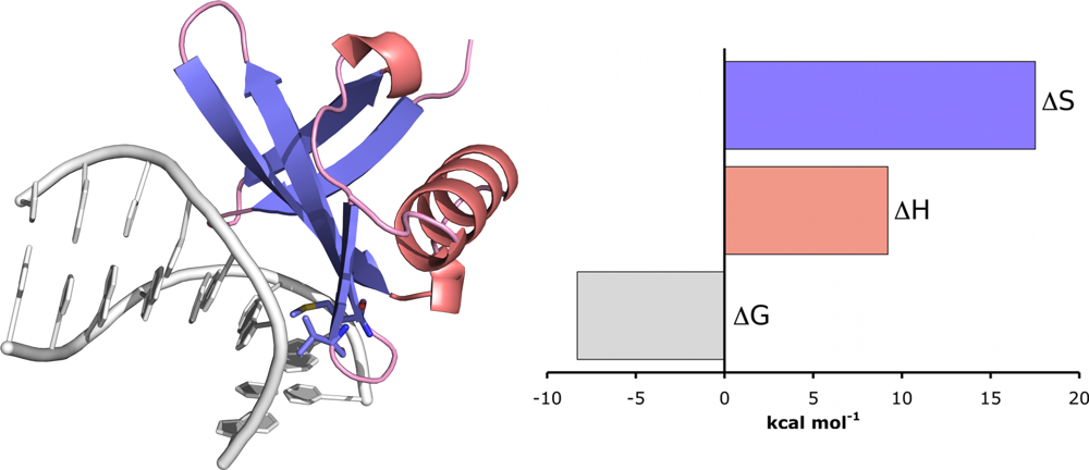 Ijms 10 03457f4 1024