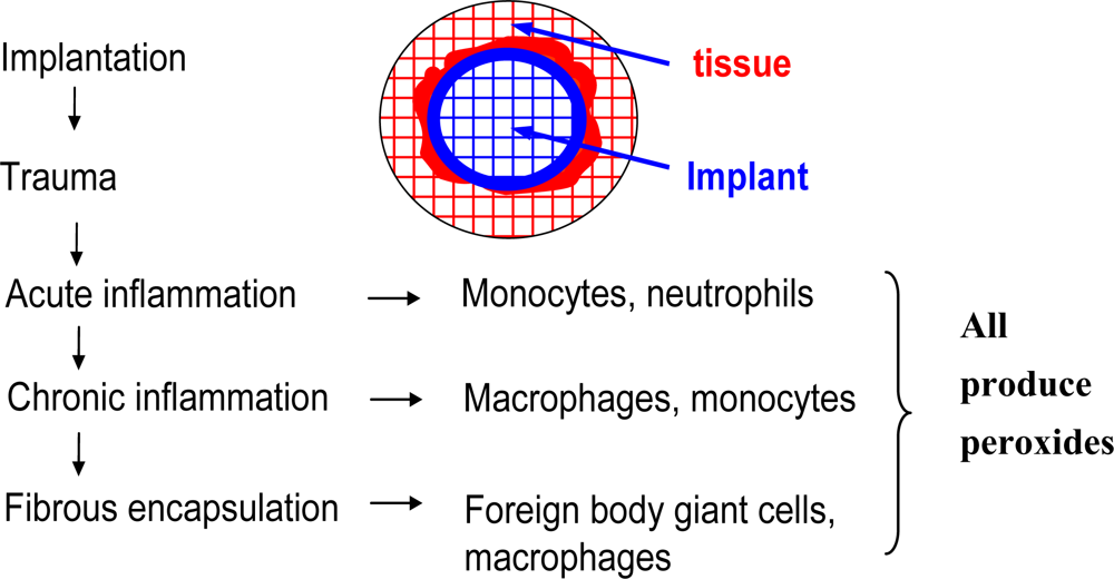 Ijms 10 04033f14