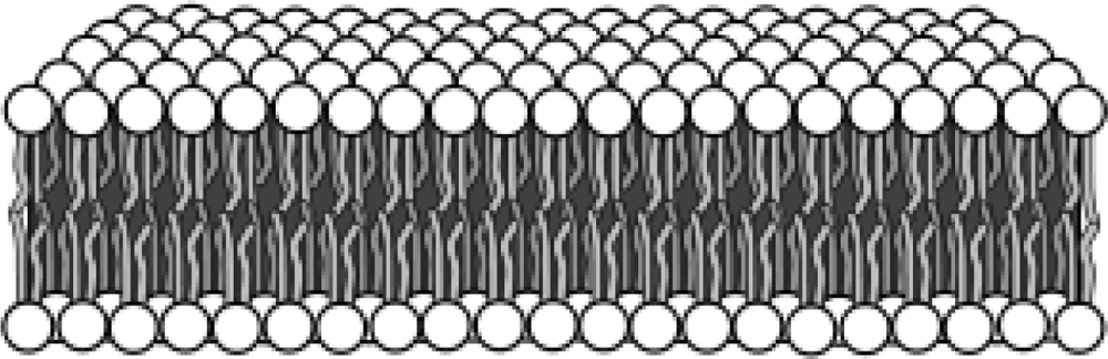 Ijms 10 04102f3